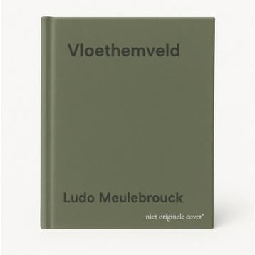 Vloethemveld 9789058566683 Ludo Meulebrouck, Livres, Guides touristiques, Verzenden, Ludo Meulebrouck