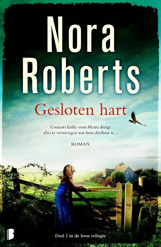 Gesloten hart / Ierse trilogie / 2 9789022578025, Livres, Romans, Envoi