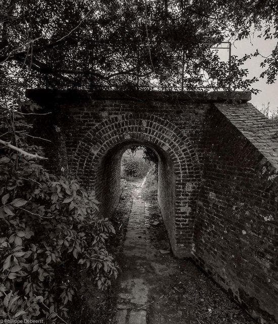 Sporen in de modder 9789461614568 Paul Van Heesvelde, Boeken, Kunst en Cultuur | Beeldend, Zo goed als nieuw, Verzenden