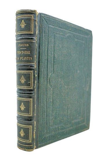 Louis Figuier / Faguet - Histoire des plantes - 1865
