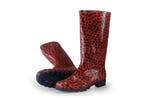 Xq Footwear Regenlaarzen in maat 39 Overig, Xq Footwear, Overige kleuren, Verzenden, Regenlaarzen
