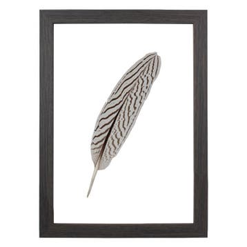 Fotolijst Dubbelglas A4 Floss, Huis en Inrichting, Woonaccessoires | Lijsten, Verzenden, Nieuw