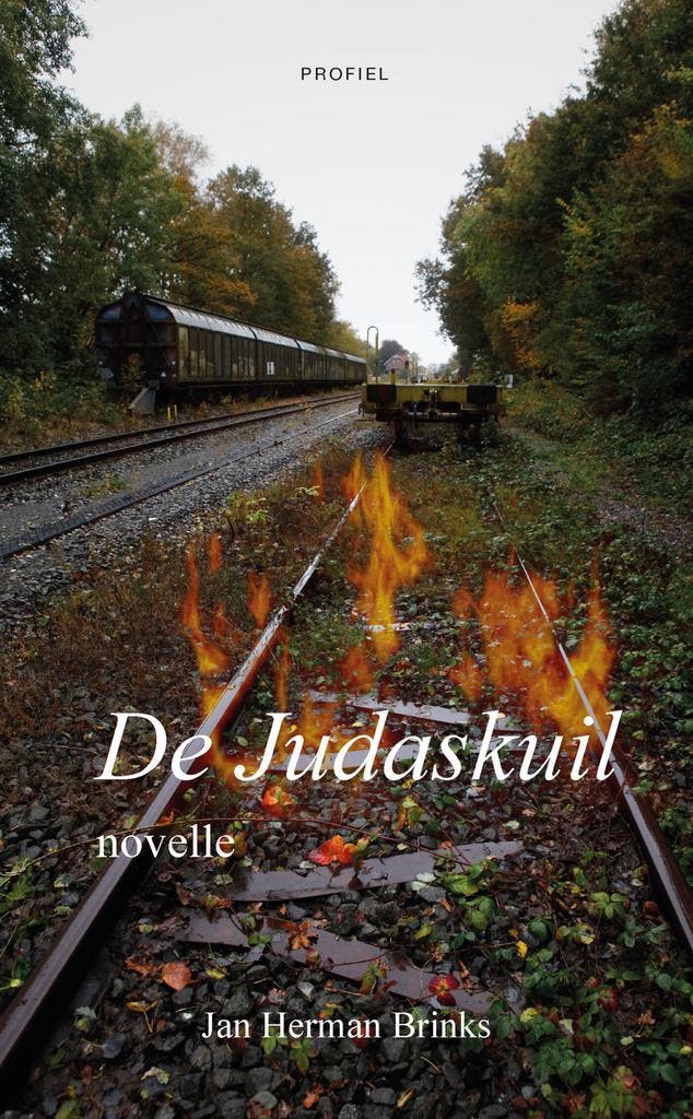 De Judaskuil 9789052946139 Jan Herman Brinks, Boeken, Romans, Zo goed als nieuw, Verzenden