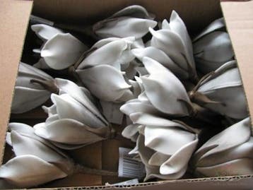 Magnolia Taupe Foambloem Kort doos 12 stuks, Huis en Inrichting, Nieuw