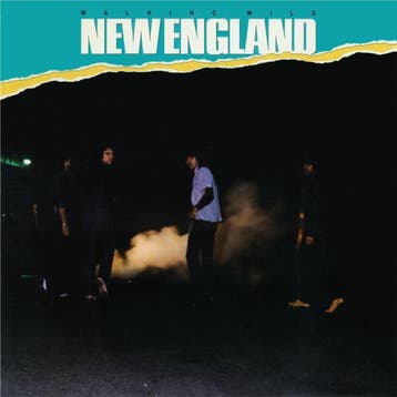 New England - Walking Wild, Verzenden, Gebruikt