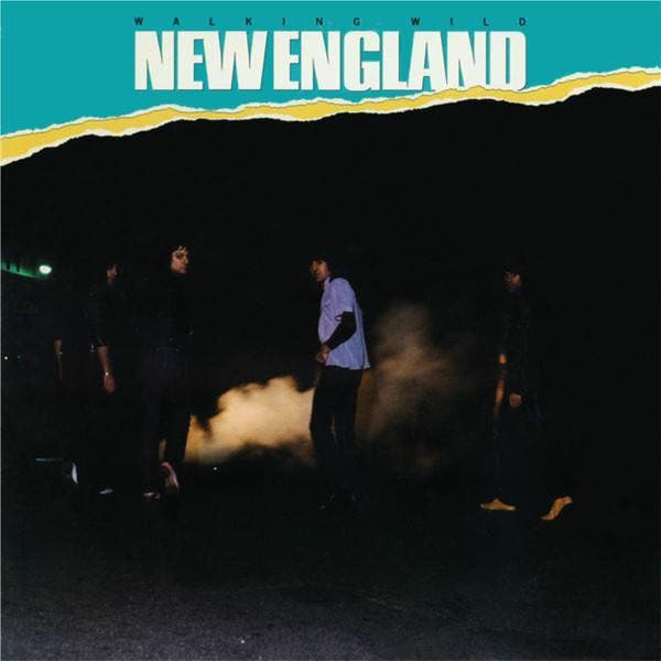 New England - Walking Wild, Cd's en Dvd's, Vinyl | Rock, Gebruikt, Verzenden