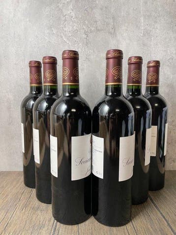 2010 Chateau Sociando Mallet - Haut-Médoc - 6 Bouteilles