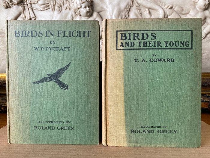 W. P. Pycraft - T.A. Coward - Roland Green - Birds in Flight, Antiek en Kunst, Antiek | Boeken en Manuscripten