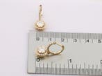 Oorbellen - 14 karaat Geel goud - 2.57ct. tw. Diamant, Nieuw
