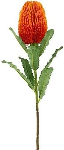 Zijden Bloem Large Banksia Orange Exotic 65 cm, Huis en Inrichting, Nieuw
