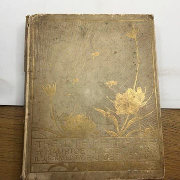 Maurice Maeterlinck / Edward J. Detmold - The Life of the