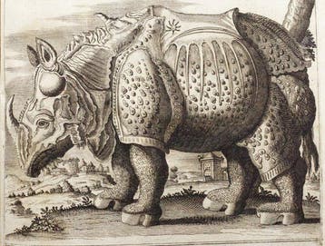 DAlessandro - Paragone de Cavalieri - 1711
