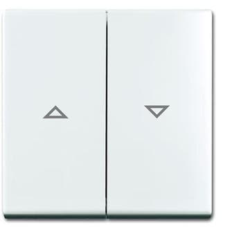 ABB Busch-Jaeger Balance SI Control Element/Central Plate, Verzenden