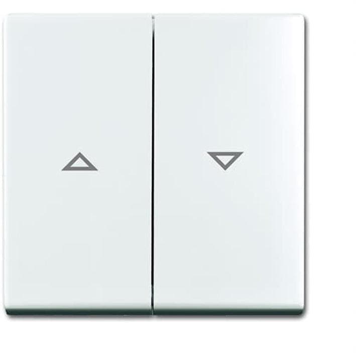 ABB Busch-Jaeger Balance SI Control Element/Central Plate, Doe-het-zelf en Bouw, Elektriciteit en Kabels, Verzenden