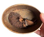 Doos - Hout - Mumia Vera container 18th. (box to hold Mummy
