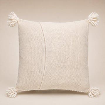 Coussin (2)