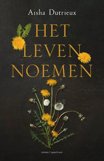 Het leven noemen (Goed), Verzenden, Nieuw