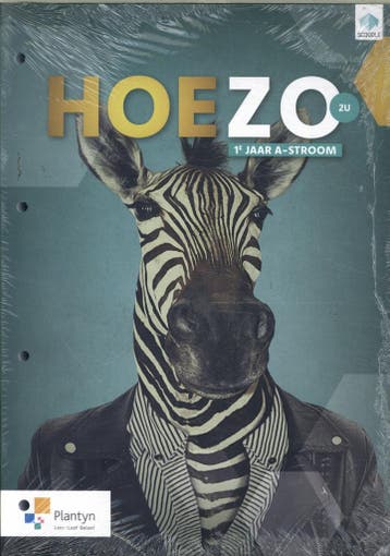 HOEZO 1 Leerwerkboek 2u (incl. scoodle) / Leerwerkboek /, Livres, Verzenden, Evelyne Vanoutrive