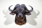 Buffle du Cap géant Support mural pour taxidermie - Syncerus, Nieuw