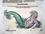 Conrad Gessner [d. 1565] - Sea Devil, Sea Monsters, folio