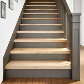 vidaXL Traptreden 2 st 100x25x2 cm onbehandeld massief, Verzenden, Nieuw