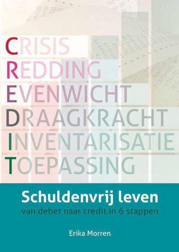 schuldenvrij leven 9789082075502 Erika Morren, Verzenden, Zo goed als nieuw, Erika Morren