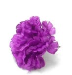 Anjerpick Purple Zijdenbloem per stuk, Nieuw