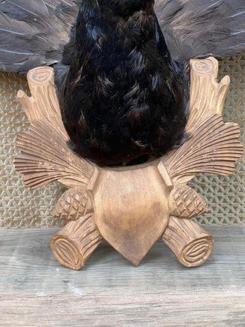 caille des blés Support de tête pour taxidermie - Tetrao, Verzamelen, Nieuw