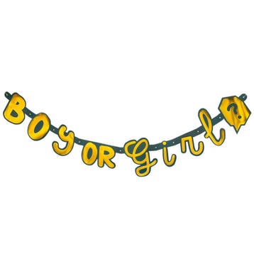 Gender Reveal Letterslinger Boy Or Girl 1,3m, Verzenden