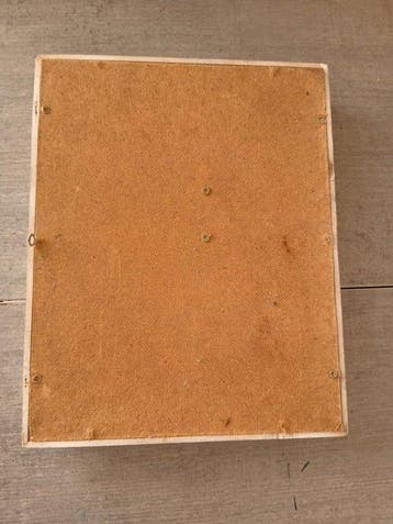 Poisson Support mural pour taxidermie - john dory - 0 cm - 0