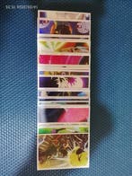 2001 Panini Dragon Ball GT (Premium) 150 cromos - 150, Nieuw