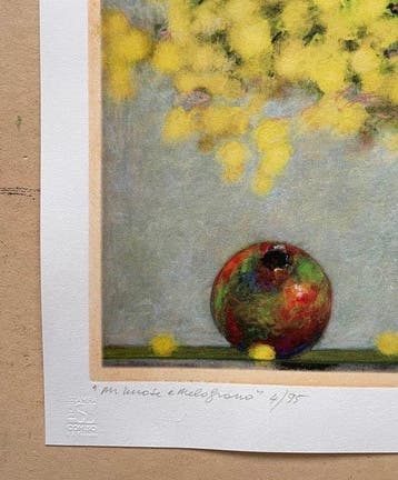 Franco Sarnari (1933-2022) - Mimosa e melograno