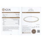 Halsketting Zilver - 561.60ct. tw. Parel - GIA11,74 mm tot, Nieuw