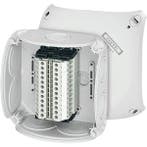Boîte IP66 Avec 12 Blocs De Bornes 0.75-4mm² - RK 0612 T, Verzenden