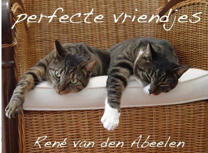 perfecte vriendjes 9789402121117 René van den Abeelen, Boeken, Hobby en Vrije tijd, Zo goed als nieuw, Verzenden