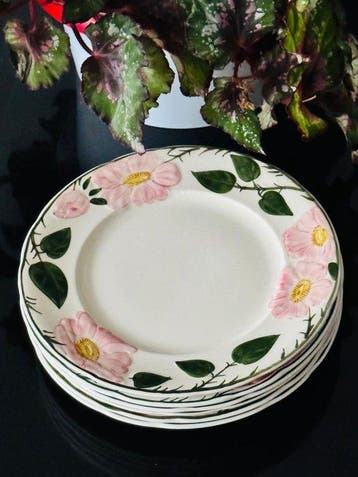 Villeroy & Boch - Assiette (6) - wild rose - Porcelaine - 21