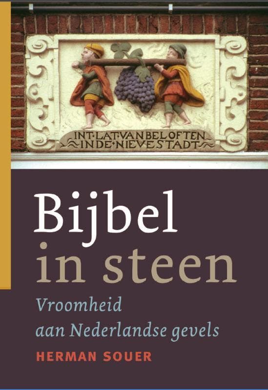BIJBEL IN STEEN 9789089120083 H. Souer, Livres, Religion & Théologie, Envoi