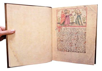 Guarnerinus de Padua - Herbe Pincte [Codex MA 592 della