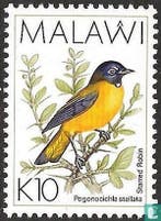 Malawi - Sterrenpaapje - 1994, Verzenden