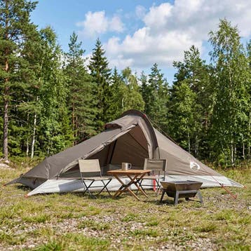 vidaXL Backpacking Tent 2-persoons Bruin en Grijs, Verzenden, Nieuw