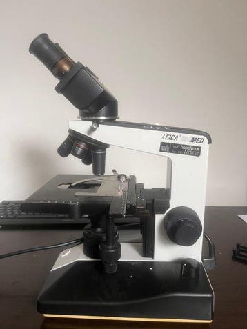 Binocular microscope - 2000 - Zwitserland - Leica
