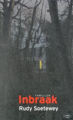 Inbraak / BMP literair 9789057201332 R. Soetewey, Livres, Thrillers, Envoi