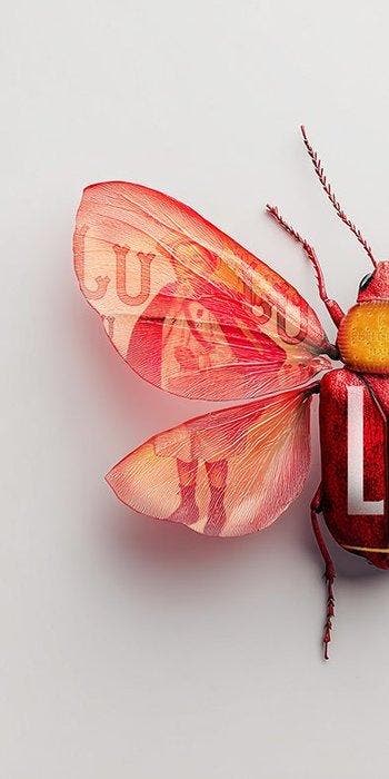 F2B - BeetleCan LU 1I8, Antiquités & Art, Art | Objets design
