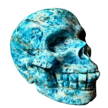 Skull en apatiet - premium Gravure - Hoogte: 50 mm -
