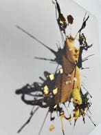 Santicri (XX) - Revelation from Chaos, La Dama con