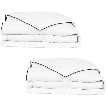 vidaXL Winterdekbedden 2 st 140x200 cm dons, Huis en Inrichting, Verzenden, Nieuw