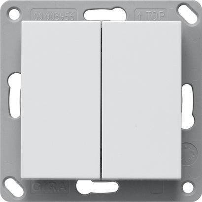 Gira 246227 Transmetteur Mural Bluetooth 2 Gang Système 55 -, Bricolage & Construction, Électricité & Câbles, Envoi