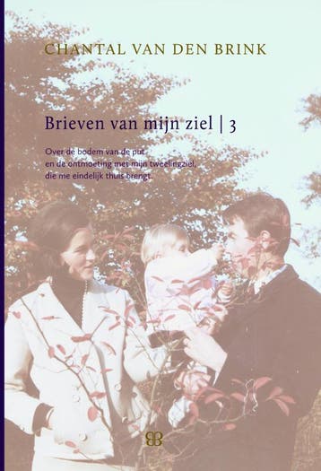 Brieven van mijn ziel / 3 9789081817226, Verzenden, Chantal van den Brink