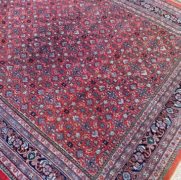 Indo Herati - Gereinigd - Tapijt - 296 cm - 200 cm
