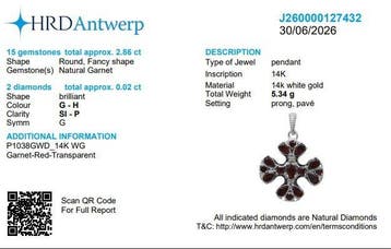 Hanger - 14 karaat Witgoud, 14k - 2.86ct. tw. Granaat -